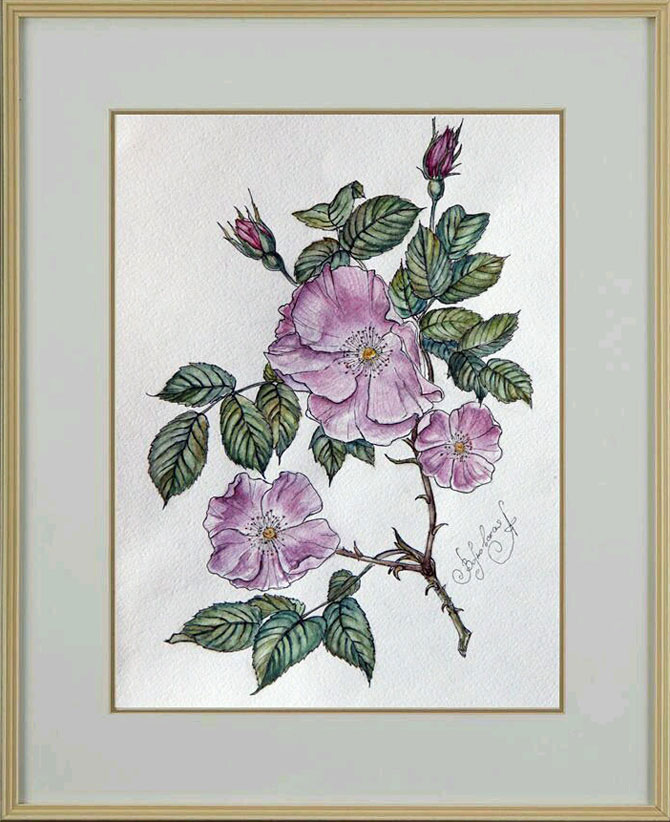 Школа рисунка для взрослых