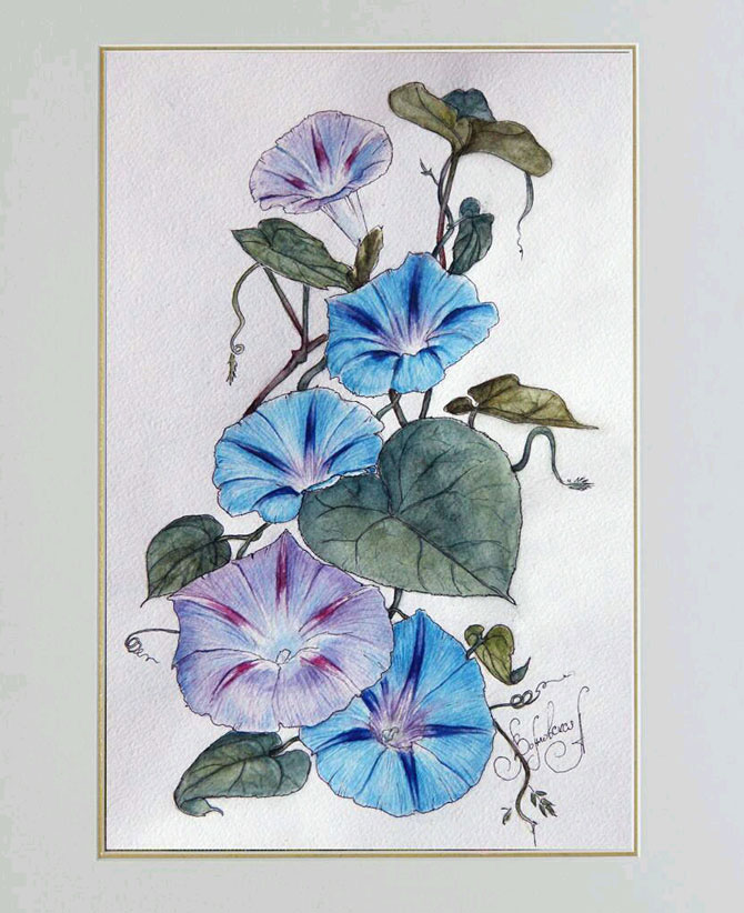 Художественная школа для взрослых