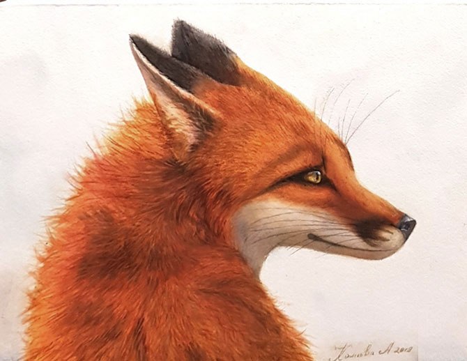 Уроки академического рисунка