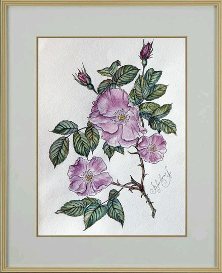 Студия живописи для начинающих